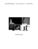 SUBSTANTIALLY PURE HUMAN RETINAL PROGENITOR, FOREBRAIN PROGENITOR, AND     RETINAL PIGMENT EPITHELIUM CELL CULTURES AND METHODS OF MAKING THE SAME diagram and image