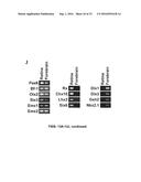 SUBSTANTIALLY PURE HUMAN RETINAL PROGENITOR, FOREBRAIN PROGENITOR, AND     RETINAL PIGMENT EPITHELIUM CELL CULTURES AND METHODS OF MAKING THE SAME diagram and image