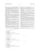 SUBSTANTIALLY PURE HUMAN RETINAL PROGENITOR, FOREBRAIN PROGENITOR, AND     RETINAL PIGMENT EPITHELIUM CELL CULTURES AND METHODS OF MAKING THE SAME diagram and image