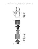 METHOD FOR SCALABLE SKELETAL MUSCLE LINEAGE SPECIFICATION AND CULTIVATION diagram and image