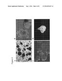 Differentiation and Enrichment of Islet-like Cells From Human Pluripotent     Stem Cells diagram and image