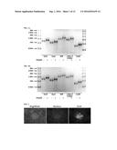 METHODS AND PRODUCTS FOR EXPRESSING PROTEINS IN CELLS diagram and image