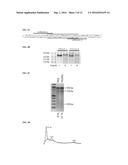 METHODS AND PRODUCTS FOR EXPRESSING PROTEINS IN CELLS diagram and image