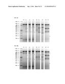 METHODS AND PRODUCTS FOR EXPRESSING PROTEINS IN CELLS diagram and image