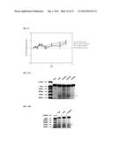 METHODS AND PRODUCTS FOR EXPRESSING PROTEINS IN CELLS diagram and image