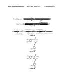 Modified plants and methods for producing modified lignin by modulating     expression of acyltransferases diagram and image