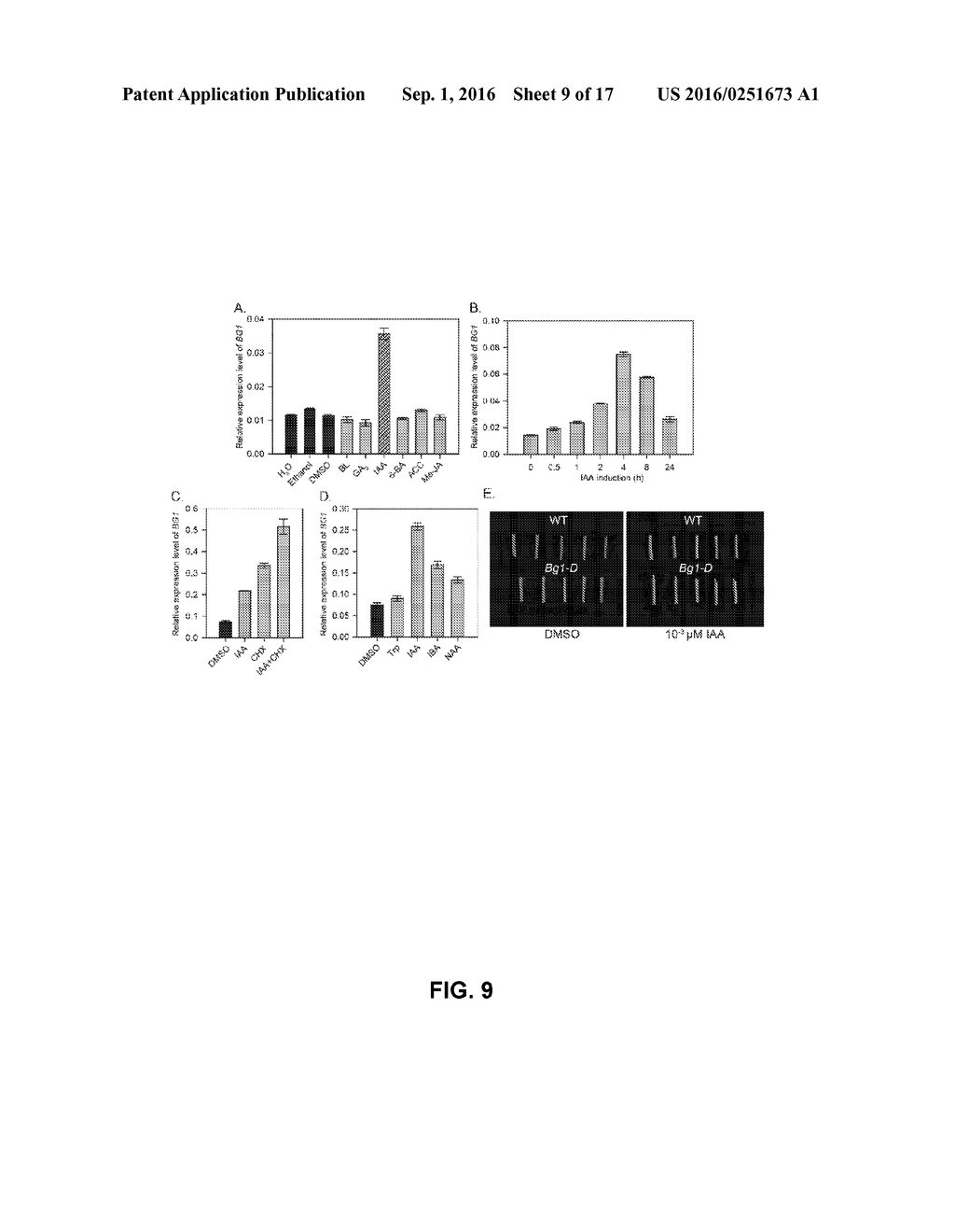 BG1 COMPOSITIONS AND METHODS TO INCREASE AGRONOMIC PERFORMANCE OF PLANTS - diagram, schematic, and image 10