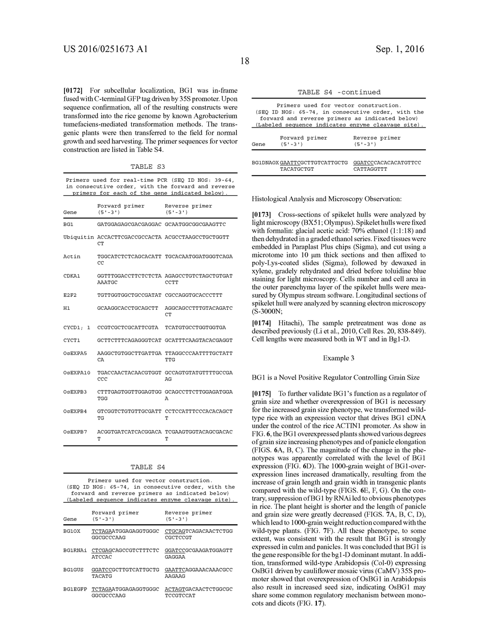 BG1 COMPOSITIONS AND METHODS TO INCREASE AGRONOMIC PERFORMANCE OF PLANTS - diagram, schematic, and image 36