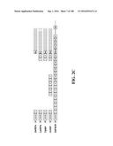 ICE RECRYSTALLISATION INHIBITION PROTEIN OR ANTIFREEZE PROTEINS FROM     DESCHAMPSIA, AND FESTUCA SPECIES OF GRASS diagram and image