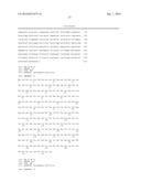 ICE RECRYSTALLISATION INHIBITION PROTEIN OR ANTIFREEZE PROTEINS FROM     DESCHAMPSIA, AND FESTUCA SPECIES OF GRASS diagram and image