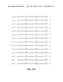 ICE RECRYSTALLISATION INHIBITION PROTEIN OR ANTIFREEZE PROTEINS FROM     DESCHAMPSIA, AND FESTUCA SPECIES OF GRASS diagram and image