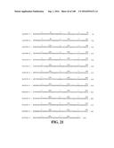 ICE RECRYSTALLISATION INHIBITION PROTEIN OR ANTIFREEZE PROTEINS FROM     DESCHAMPSIA, AND FESTUCA SPECIES OF GRASS diagram and image