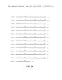 ICE RECRYSTALLISATION INHIBITION PROTEIN OR ANTIFREEZE PROTEINS FROM     DESCHAMPSIA, AND FESTUCA SPECIES OF GRASS diagram and image