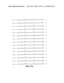 ICE RECRYSTALLISATION INHIBITION PROTEIN OR ANTIFREEZE PROTEINS FROM     DESCHAMPSIA, AND FESTUCA SPECIES OF GRASS diagram and image