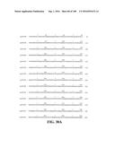 ICE RECRYSTALLISATION INHIBITION PROTEIN OR ANTIFREEZE PROTEINS FROM     DESCHAMPSIA, AND FESTUCA SPECIES OF GRASS diagram and image