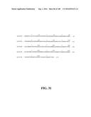 ICE RECRYSTALLISATION INHIBITION PROTEIN OR ANTIFREEZE PROTEINS FROM     DESCHAMPSIA, AND FESTUCA SPECIES OF GRASS diagram and image