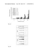 CELL-FREE PROTEIN SYNTHESIS METHOD AND DEVICE USING A EUKARYOTIC CELL     LYSATE IN THE PRESENCE OF A CASPASE INHIBITOR AND THE USE OF A CASPASE     INHIBITOR FOR INCREASING THE YIELD AND/OR THE STABILITY OF THE     SYNTHESIZED PROTEINS IN SUCH A METHOD diagram and image