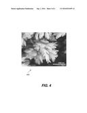 ELECTROSTATIC CONTROL OF IONIC ENVIRONMENT IN A DROPLET BASED PLATFORM FOR     BIOLOGICAL APPLICATIONS diagram and image