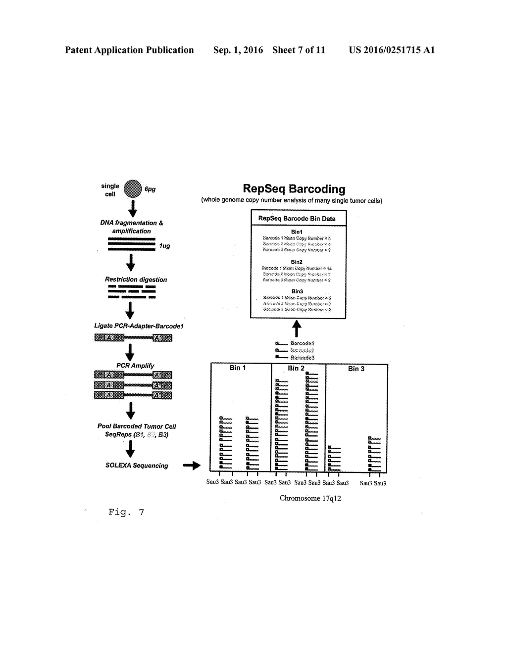 VARIETAL COUNTING OF NUCLEIC ACIDS FOR OBTAINING GENOMIC COPY NUMBER     INFORMATION - diagram, schematic, and image 08