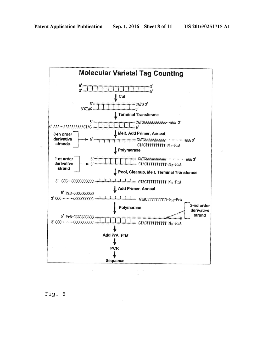 VARIETAL COUNTING OF NUCLEIC ACIDS FOR OBTAINING GENOMIC COPY NUMBER     INFORMATION - diagram, schematic, and image 09