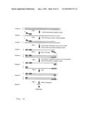 VARIETAL COUNTING OF NUCLEIC ACIDS FOR OBTAINING GENOMIC COPY NUMBER     INFORMATION diagram and image
