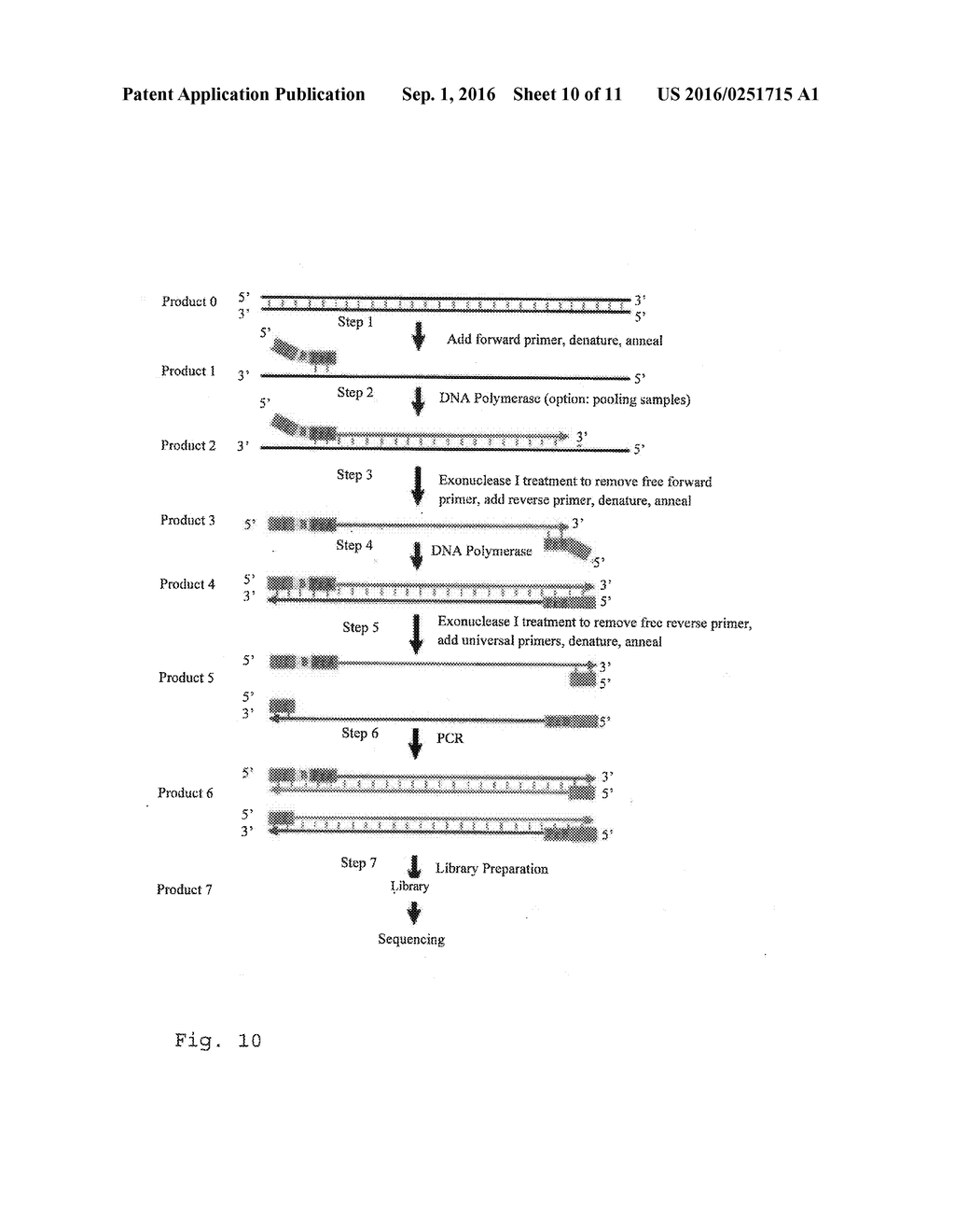 VARIETAL COUNTING OF NUCLEIC ACIDS FOR OBTAINING GENOMIC COPY NUMBER     INFORMATION - diagram, schematic, and image 11