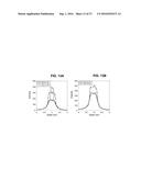 NANOPARTICLE ASSISTED SCANNING FOCUSING X-RAY FLUORESCENCE IMAGING AND     ENHANCED TREATMENT diagram and image