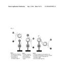 DETECTION ASSAYS AND METHODS diagram and image