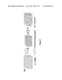 VOLUME RESPONSE SENSORS HAVING ANALYTE CONTROLLED REVERSIBLE CROSSLINKING diagram and image