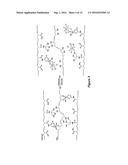 VOLUME RESPONSE SENSORS HAVING ANALYTE CONTROLLED REVERSIBLE CROSSLINKING diagram and image