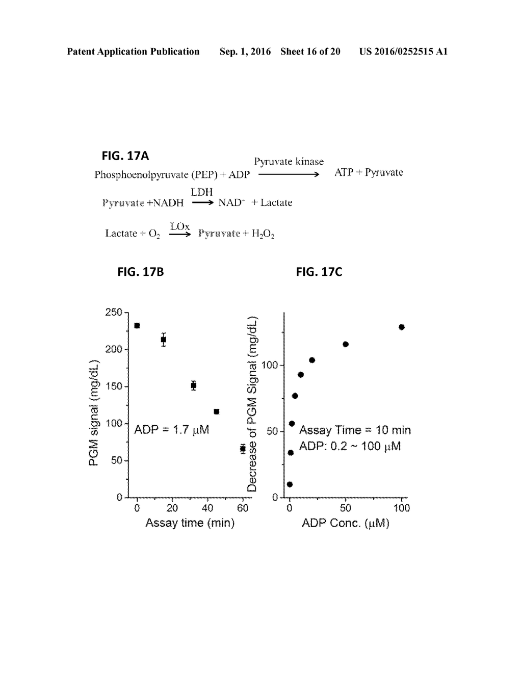 PERSONAL GLUCOSE METERS FOR DETECTION AND QUANTIFICATION OF ENZYMES AND     METABOLITES BASED ON COENZYME DETECTION - diagram, schematic, and image 17