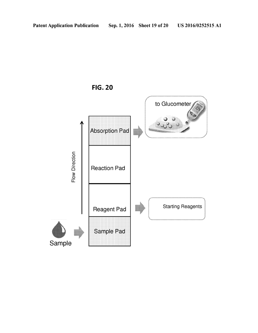 PERSONAL GLUCOSE METERS FOR DETECTION AND QUANTIFICATION OF ENZYMES AND     METABOLITES BASED ON COENZYME DETECTION - diagram, schematic, and image 20