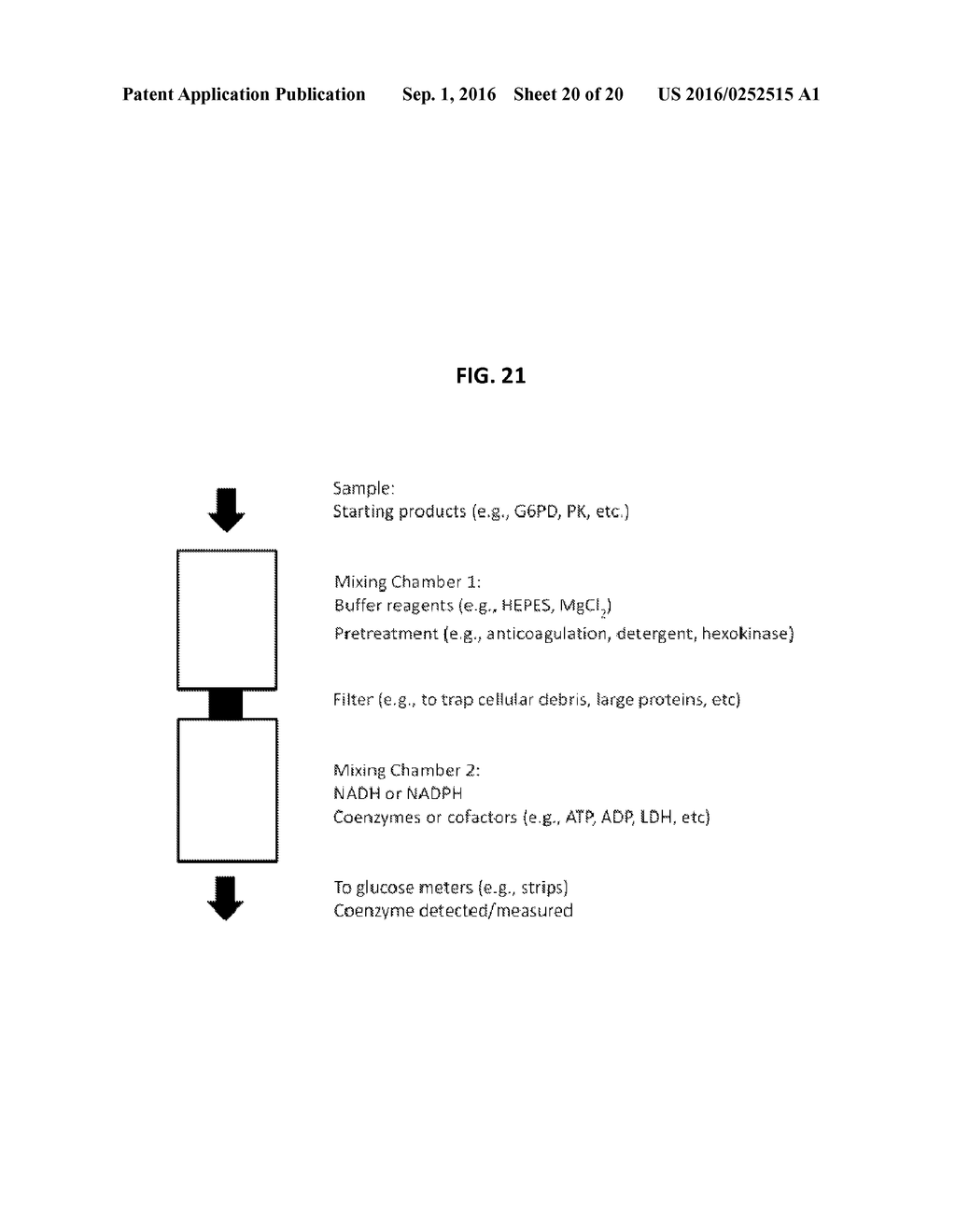 PERSONAL GLUCOSE METERS FOR DETECTION AND QUANTIFICATION OF ENZYMES AND     METABOLITES BASED ON COENZYME DETECTION - diagram, schematic, and image 21