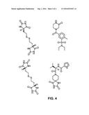 METHOD OF USING A WATER-BASED PHARMACOPHORE diagram and image