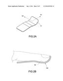 BIOMETRIC RECOGNITION APPARATUS WITH CURVED SUBSTRATE diagram and image