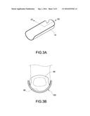 BIOMETRIC RECOGNITION APPARATUS WITH CURVED SUBSTRATE diagram and image