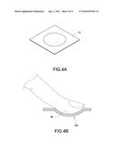 BIOMETRIC RECOGNITION APPARATUS WITH CURVED SUBSTRATE diagram and image