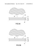 BIOMETRIC RECOGNITION APPARATUS WITH CURVED SUBSTRATE diagram and image