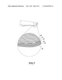 BIOMETRIC RECOGNITION APPARATUS WITH CURVED SUBSTRATE diagram and image