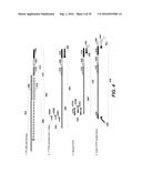 SPATIALLY ADDRESSABLE MOLECULAR BARCODING diagram and image