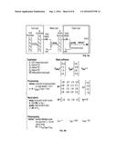 IMAGE ANALYSIS FOR PREDICTING BODY WEIGHT IN HUMANS diagram and image