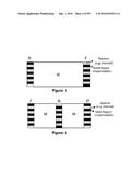 ELECTROCHEMICAL SYSTEMS WITH ELECTRONICALLY CONDUCTIVE LAYERS diagram and image