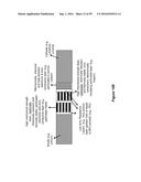 ELECTROCHEMICAL SYSTEMS WITH ELECTRONICALLY CONDUCTIVE LAYERS diagram and image