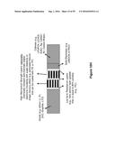 ELECTROCHEMICAL SYSTEMS WITH ELECTRONICALLY CONDUCTIVE LAYERS diagram and image