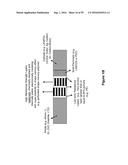 ELECTROCHEMICAL SYSTEMS WITH ELECTRONICALLY CONDUCTIVE LAYERS diagram and image