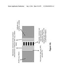 ELECTROCHEMICAL SYSTEMS WITH ELECTRONICALLY CONDUCTIVE LAYERS diagram and image