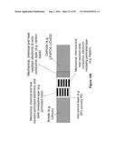 ELECTROCHEMICAL SYSTEMS WITH ELECTRONICALLY CONDUCTIVE LAYERS diagram and image