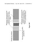 ELECTROCHEMICAL SYSTEMS WITH ELECTRONICALLY CONDUCTIVE LAYERS diagram and image