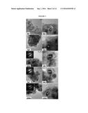 NANOCOMPOSITE ANODE MATERIALS FOR SODIUM-ION BATTERIES diagram and image