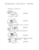 IMPLANTABLE DEVICES AND METHODS FOR EVALUATION OF ACTIVE AGENTS diagram and image